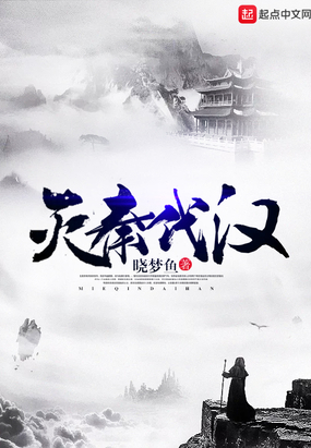 灭秦代汉在线阅读