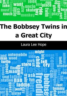 The Bobbsey Twins in a Great City