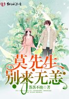 莫先生别来无恙在线阅读