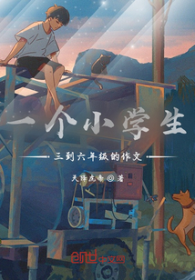 一個小學(xué)生三到六年級的作文