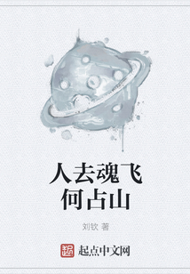 人去魂飛何占山