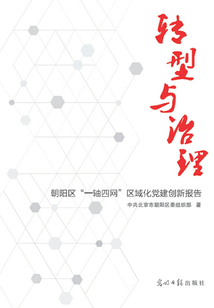 轉型與治理:朝陽區“一軸四網”區域化黨建創新報告