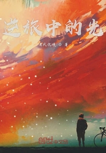 逆旅中的光