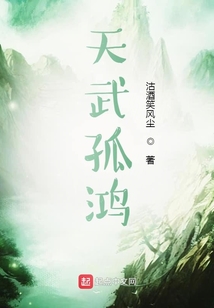 天武孤鴻