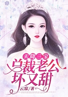 天降三宝:总裁老公坏又甜在线阅读