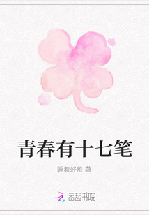 青春有十七筆