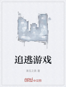 追逃游戏