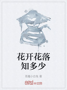 花开花落知多少在线阅读