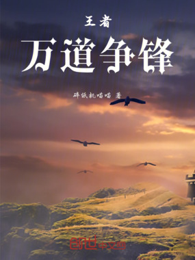 王者：万道争锋在线阅读