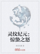 灵纹纪元:惊蛰之怒在线阅读