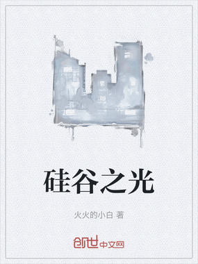 硅谷之光在线阅读