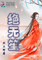 絕無笙在線閱讀