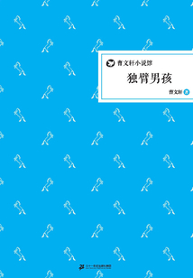 獨臂男孩