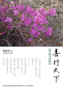 善行天下