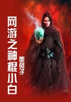 網游之神棍小白在線閱讀