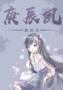 庚辰夙里的月