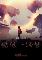 酷似一場夢在線閱讀