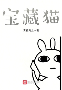 寶藏貓