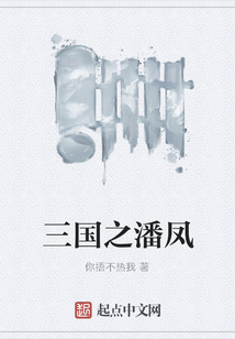 三國之潘鳳