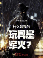 什么叫我的玩具是军火?在线阅读