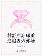 林舒唐亦琛重逢追妻火葬場在線閱讀