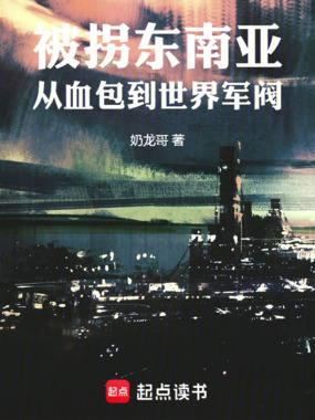 被拐东南亚，从血包到世界军阀在线阅读