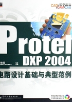 Protel DXP 2004电路设计基础与典型范例