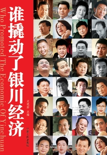 誰(shuí)撬動(dòng)了銀川經(jīng)濟(jì)