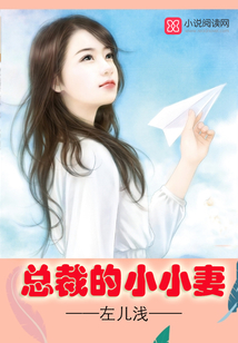 总裁的小小妻