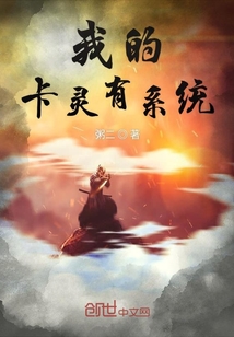 我的卡灵有系统 cover