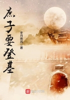 庶子要登基在线阅读