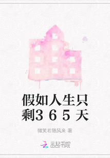 假如人生只剩365天
