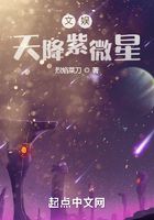文娛：天降紫薇星在線閱讀