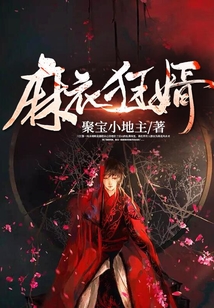麻衣狂婿