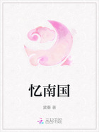 忆南国