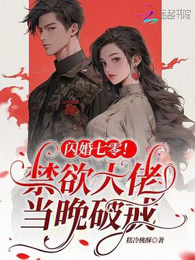 闪婚七零！禁欲大佬当晚破戒在线阅读