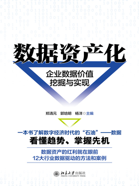 数据资产化：企业数据价值挖掘与实现在线阅读
