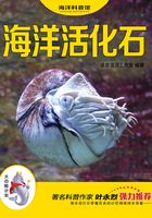 “大白鲸计划”海洋科普馆·海洋活化石