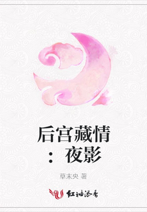 后宮藏情：夜影
