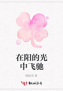 在陽的光中飛馳