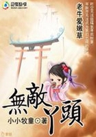 无敌丫头复仇记