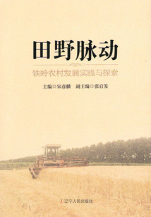 田野脉动：铁岭农村发展实践与探索