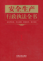 安全生产行政执法全书（含处罚标准、诉讼流程、典型案例、请示答复）