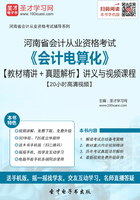 河南省会计从业资格考试《会计电算化》【教材精讲＋真题解析】讲义与视频课程【20小时高清视频】在线阅读