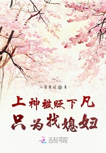 上神被貶下凡后的二三事