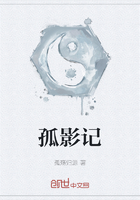 孤影记