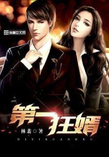 第一狂婿