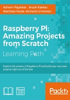 Raspberry Pi：Amazing Projects from Scratch在线阅读