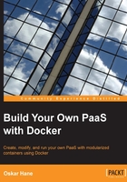 Build Your Own PaaS with Docker