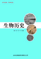 生物历史（文化之美·文明之光）